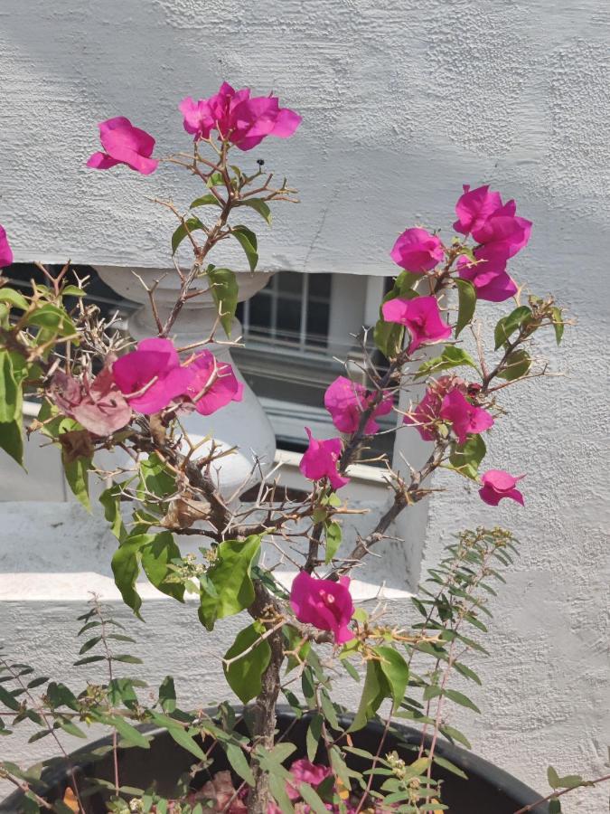 شقة Yoga House Vanivilasa Puram المظهر الخارجي الصورة