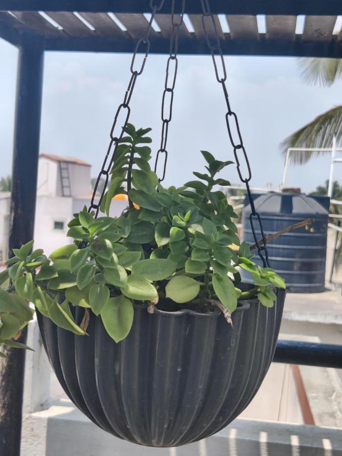 شقة Yoga House Vanivilasa Puram المظهر الخارجي الصورة